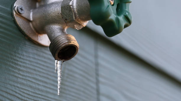 Best Plumbing Services Near Me  in Marlboro Village, MD